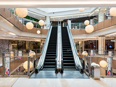 Escalator with vvvf function