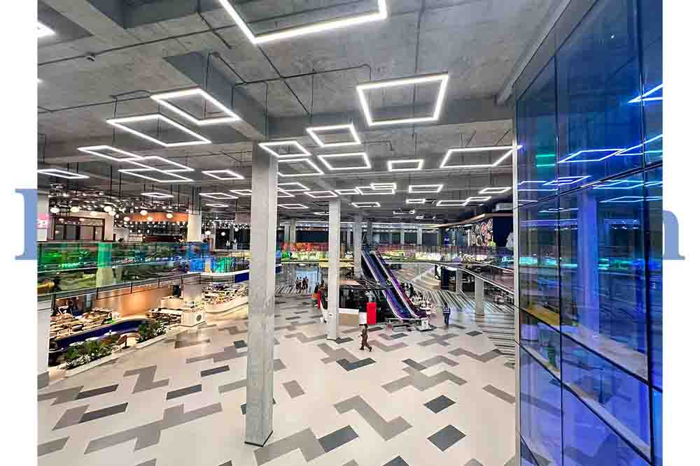 Project Update | Escalator Project Ready for Operation 